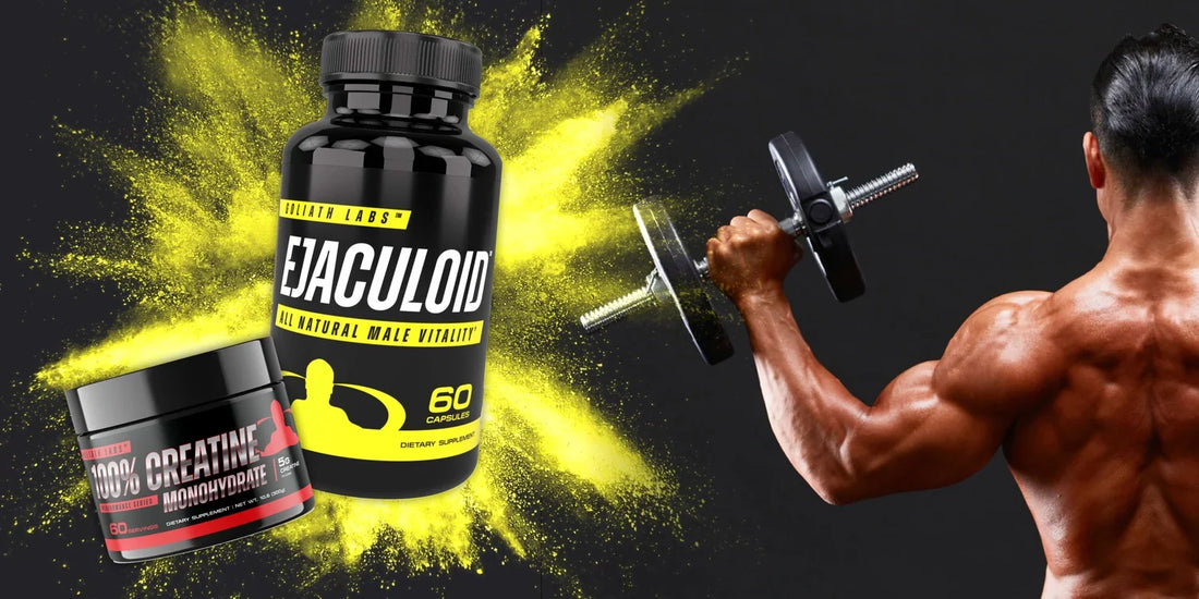 Pre-Workout vs Whey Protein vs Creatine – Which Supplement Do You Need?